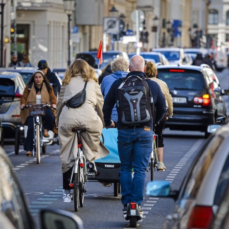 Radfahrer fahren auf der Fahrradstrasse in der Linienstrasse in Berlin Mitte