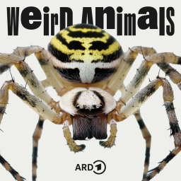 Cover Weird Animals 16 Wespenspinne