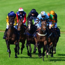 Rennpferde mit Jockeys bei einem Pferderennen in Großbritannien