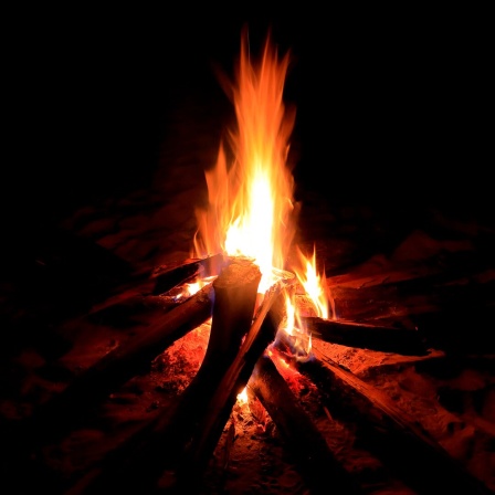 Holzscheite und Äste brennen in einem lodernden Lagerfeuer in der Nacht