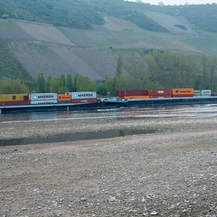 Ein Frachtschiff passiert den Rhein bei Osterspai. Der Wasserstand ist extrem niedrig und Sandbänke liegen frei. Das Schiff kann nur in einer schmalen Fahrrinne fahren.