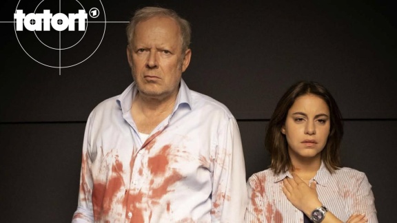 Tatort - Borowski Und Der Fluch Der Weißen Möwe