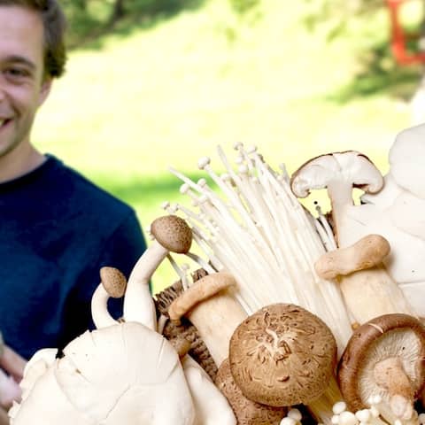 Checker Tobi und im Vordergrund ein paar Pilze | Bild: megaherz, Collage Tanja Begovic