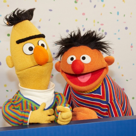 Ernie (r) und Bert posieren am 07.01.2013 in Hamburg bei einem NDR-Pressetermin