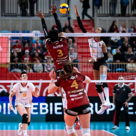 Challenge Cup Halbfinale SC Potsdam - Roma Volley (Bild: IMAGO/BEAUTIFUL SPORTS/Nicol Marschall)