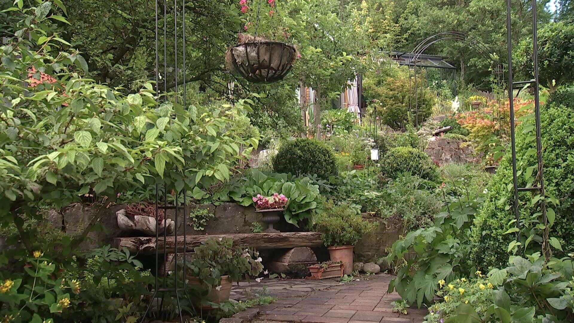 MDR Garten Wie gestaltet Brigitte Goss ihren Garten am Hang? ARD
