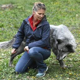 Friederike Range mit einem Wolf ganz nah hinter ihr, am Wolfsforschungszentrum Ernstbrunn in Österreich.