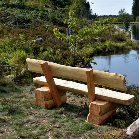 Eine Holzbank mit Blick auf einen Teich im Harz.