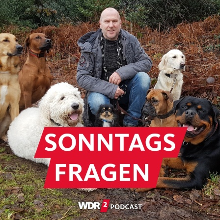 Jörg Müller inmitten mehrerer Hunde