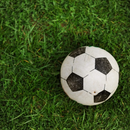 Symbolbild: Plastikfußball auf einem grünen Rasen