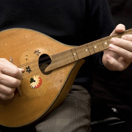 Eine Mandoline wird von einem Musiker gespielt.