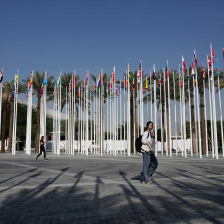 Flaggen vor dem Veranstaltungsort der COP28 in Dubai.