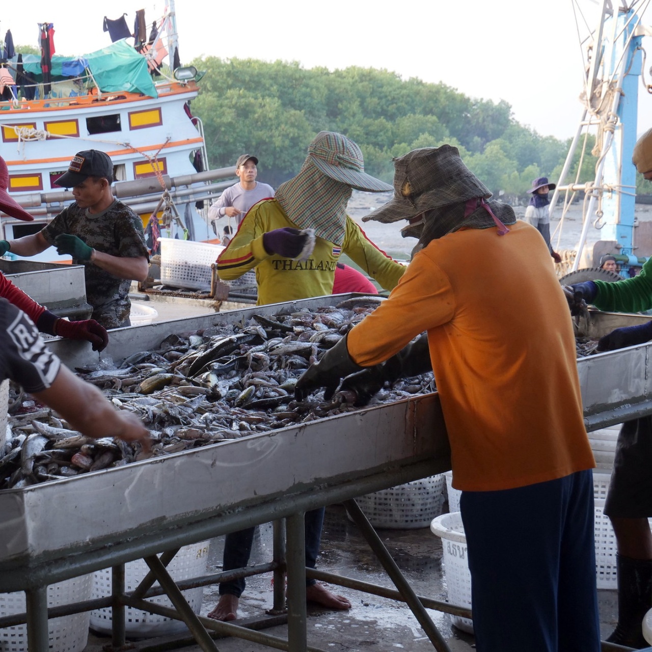 WDR 5 Neugier genügt das Feature