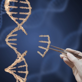 Die neue Genschere &#034;Crispr" macht Genmanipulationen so einfach wie nie.