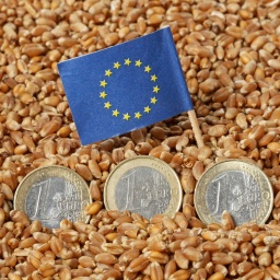 Drei 1-Euro-Münzen liegen in Getreidekörnern. Dahinter steckt ein blaues EU-Fähnchen mit den EU-Sternen. (Symbolbild) | Bild: picture-alliance | Ernst Weingartner / CHROMORANGE