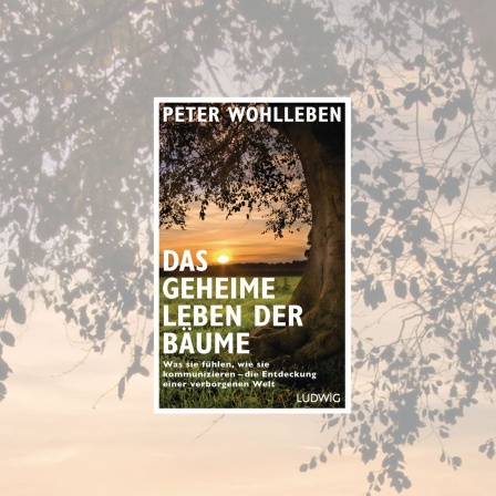 Peter Wohhleben: Das geheime Leben der Bäume