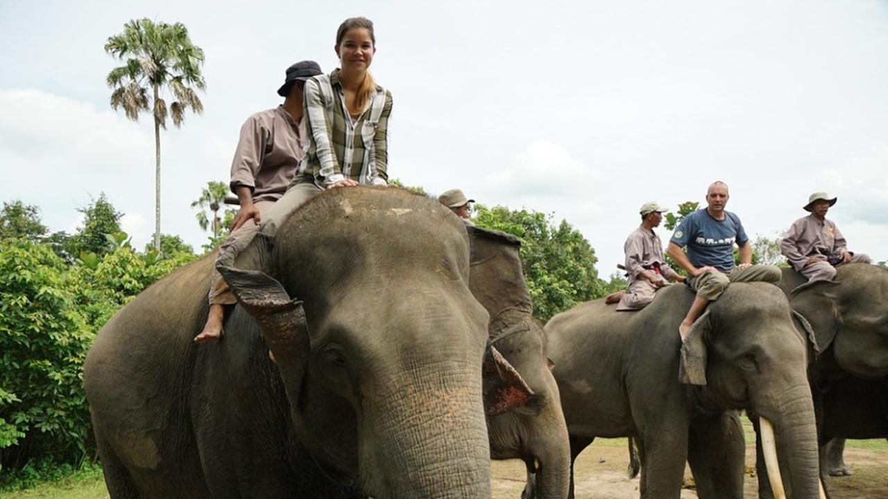 Unterwegs mit der Elefantenpolizei