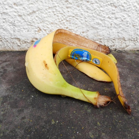 Eine Bananenschale liegt auf dem Asphalt. 