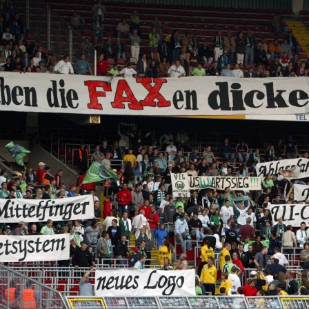 Wolfsburger Fans haben die Faxen dicke - auf einzelnen Plakaten präsentieren sie gesammelte Fanproteste