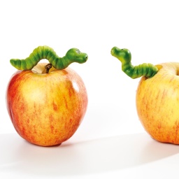 Zwei wurmstichige Äpfel - Symbolbild.