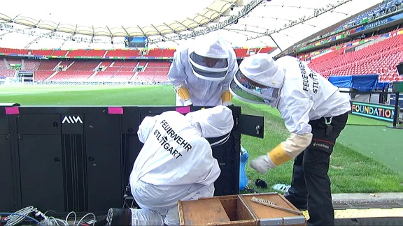 Sportschau Uefa Euro 2024 - Ein Bienenstock Im Stuttgarter Stadion