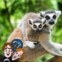 Besuchen auch Tiere ihre Großeltern?