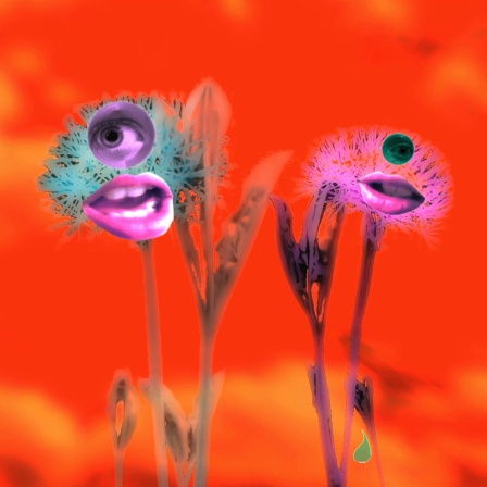 Illustration Hörspiel Liebeskassierer: Zwei Blumen vor orangenem Hintergrund und Mündern und Nasen.