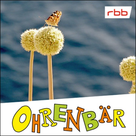 Ein Schmetterling auf einem Blumenstängel, im Hintergrund das blaue Meer (Quelle: rbb/OHRENBÄR/Birgit Patzelt)