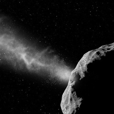Sonde Dart trifft auf Asteroid, Reiseziel kosmische Dämmerung, Samenbank für Bäume