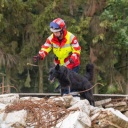 Baja sucht auf den Trümmern bei einer I.S.A.R. Vollübung