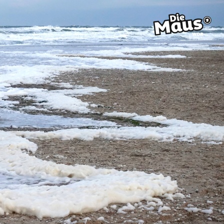 Schaum am Strand