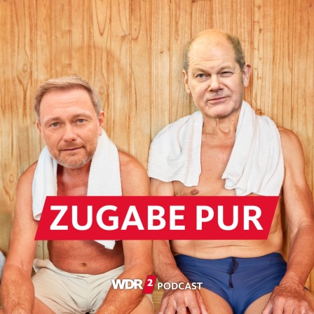 Satirische Fotomontage: Christian Lindner und Olaf Scholz sitzen lächelnd in der Sauna