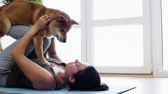 Wer Weiß Denn Sowas? - Was Gilt Für Hunde Und Ihre Besitzer.