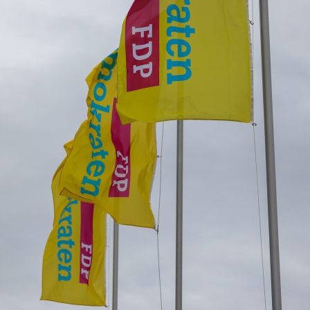 Drei wehende gelbe Fahnen an Fahnenmasten vor einem grauen, bewölkten Himmel. Auf den Fahnen steht in blauer Schrift das Wort „Demokraten“, und in einem pinkfarbenen Kasten mit weißer Schrift ist das Kürzel „FDP“ zu sehen.