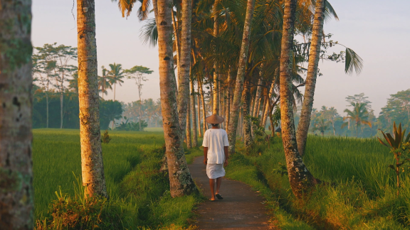 Wer Weiß Denn Sowas? - Was Ist Auf Bali Nicht Erlaubt.