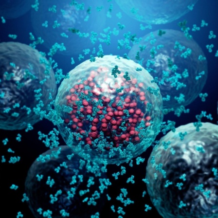 Illustration von Y-förmigen Antikörpern die eine, vom Virus befallene, Zelle umkreisen.