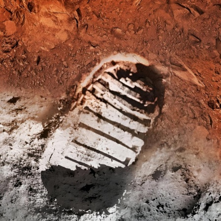 IQ Wissenschaft und Forschung · Ein Jahr auf dem Mars Wie hält man