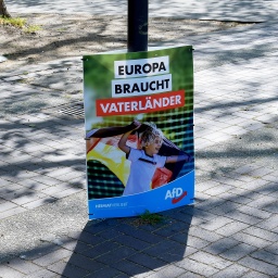 Ein Wahlplakat mit der Aufschrift "Europa braucht Vaterländer" 