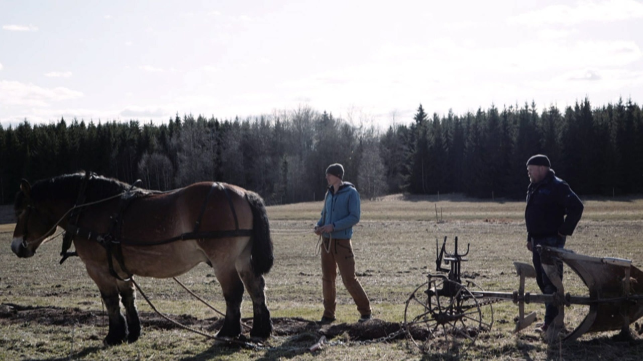 Weltretter mit einem PS - Ein Handwerker und seine Landwirtschaft mit Pferden