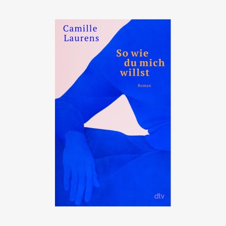 Buch-Cover: Camille Laurens - So wie du mich willst