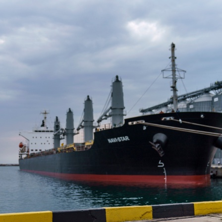 Das Schiff «Navi-Star» liegt seit dem Beginn der russischen Invasion in die Ukraine mit Getreide beladen im Hafen von Odessa und wartet darauf, auszulaufen.