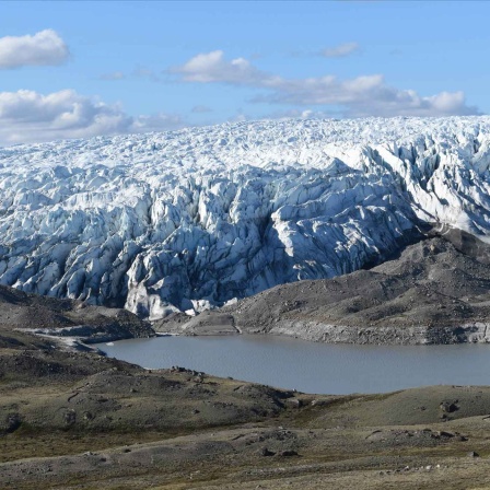 ARCHIV, 2020: abgeschmolzenen Teil einer Eisschicht. Rund 600 Milliarden Tonnen hat der Eisschild auf Grönland im Jahr 2019 verloren (Bild: picture alliance/dpa/Earth Institute) 