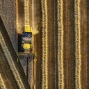 Symbolbild: Aufsicht auf ein Weizenfeld während der Ernte
