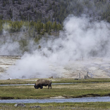 150 Jahre Yellowstone - Der erste Nationalpark der Welt