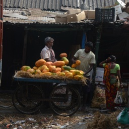 Ein Händler verkauft im indischen Siliguri von einem Anhänger Gemüse.