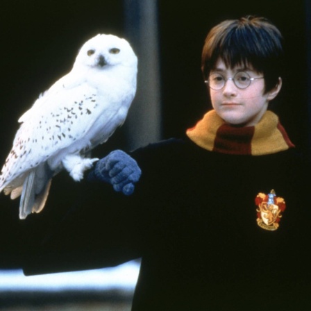 Ein Filmstill aus &#034;Harry Potter und der Stein der Weisen&#034; (2001): Harry Potter und seine Eule Hedwig