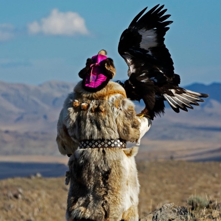 Ein Mensch mit Pelzmantel und traditioneller bunter Mütze in der Mongolei, einen Adler mit gespreizten Flügeln auf dem Arm sitzend.
