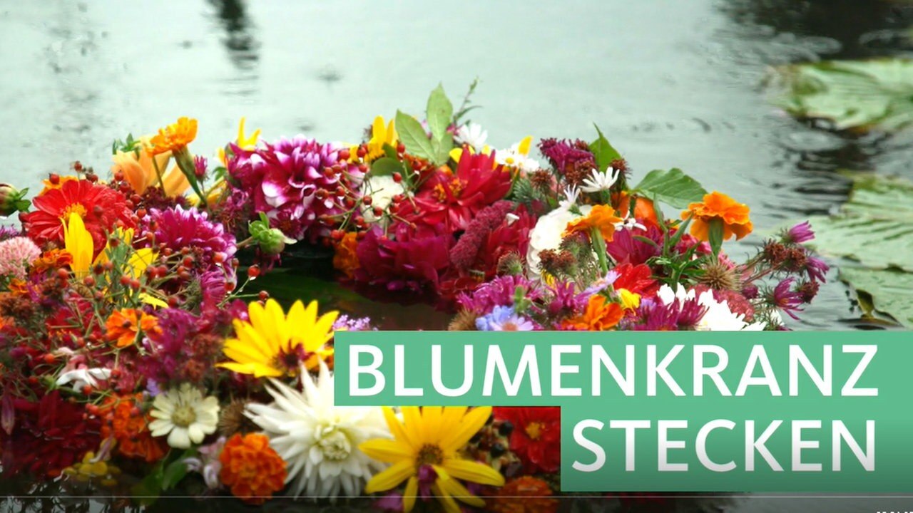 Garten & Lecker Björns Tipp Bunter Blumenkranz ARD Mediathek
