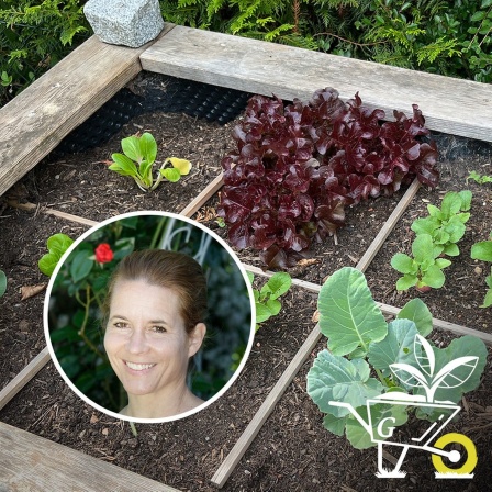 Teaserbild Gartenpodcast: Im Hintergrund ist ein in Quadrate eingeteiltes Beet zu sehen, darüber ist in einem Kreis das Portrait einer Frau zu sehen (Podcastgast Eva Puchtinger). 