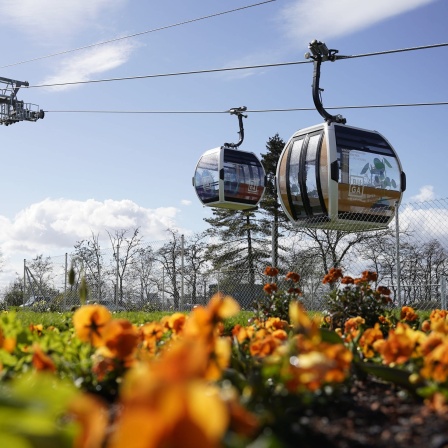 Kabinen der Seilbahn fahren auf dem Gelände der Bundesgartenschau hinter einem Blumenbeet.